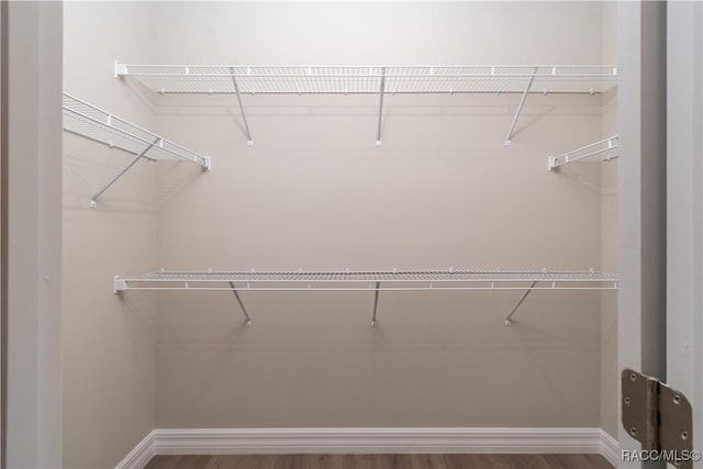 spacious closet featuring hardwood / wood-style floors