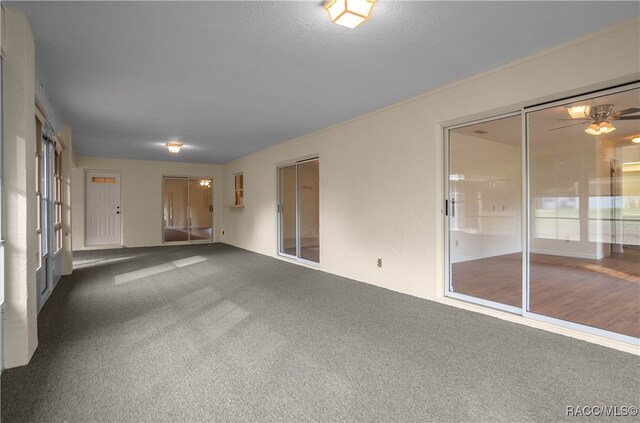 carpeted spare room with ceiling fan