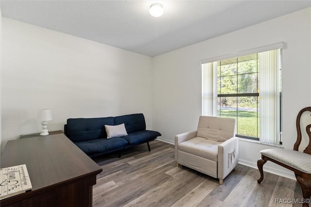 1009 S Maplenut Way, Inverness, FL 34450 - living area featuring light wood finished floors and healthy amount of natural light