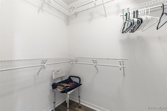 1009 S Maplenut Way, Inverness, FL 34450 - walk in closet with wood finished floors