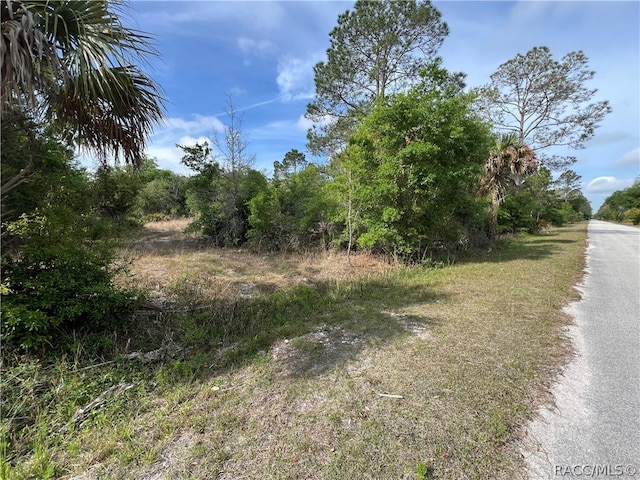 12036 W Flaxen Dr, Crystal River FL, 34428 land for sale