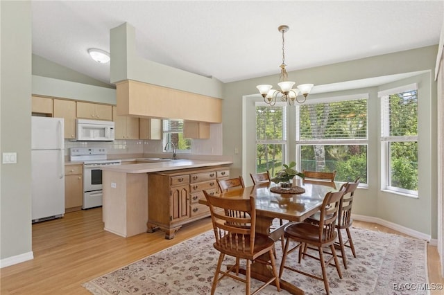 3570 E Cove Park Trl, Hernando, FL 34442 - dining room with a chandelier, light wood-style floors, and baseboards