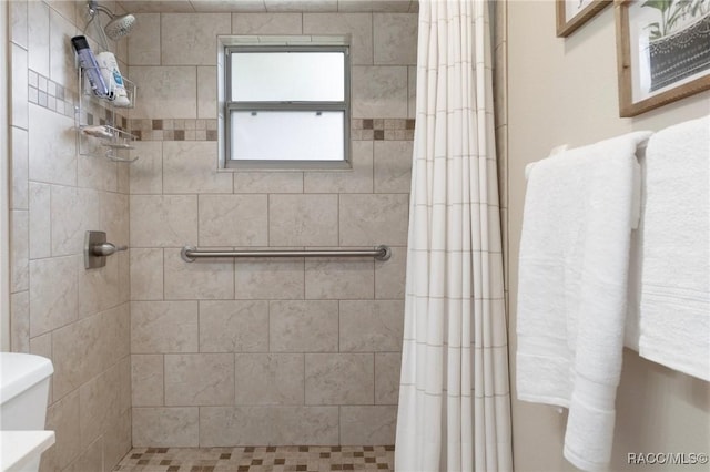 3570 E Cove Park Trl, Hernando, FL 34442 - bathroom with tiled shower and toilet