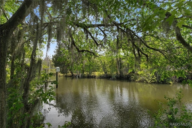 2184 N Watersedge Dr, Crystal River, FL 34429 - photo 3