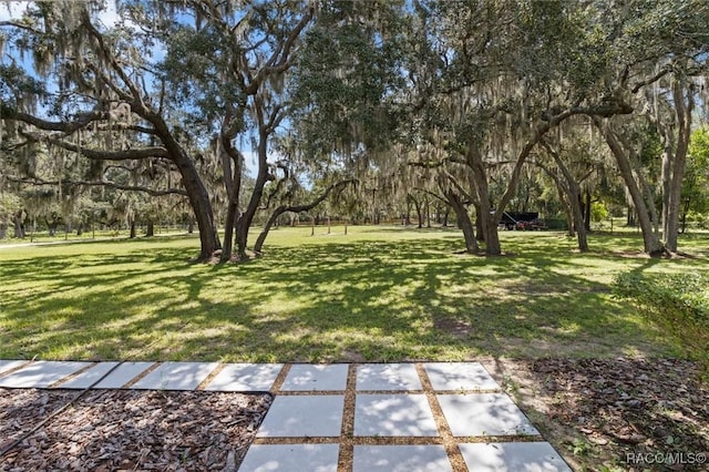 2662 N Reston Ter, Hernando, FL 34442 - photo 7