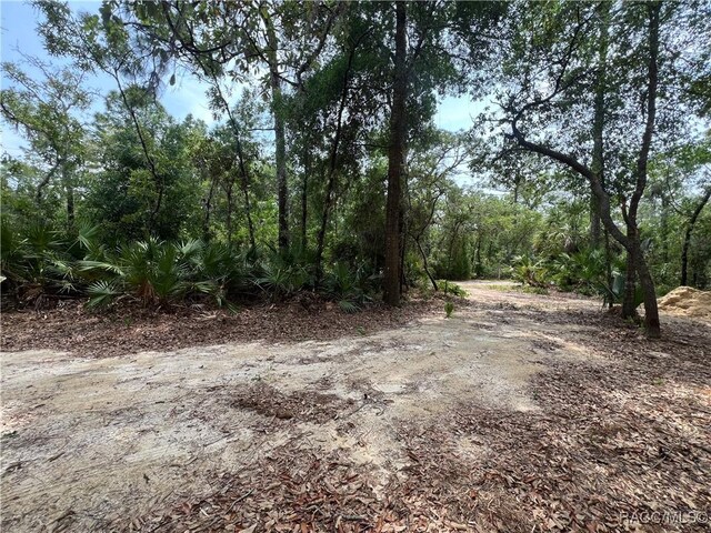 8181 W Tracy Pt, Homosassa, FL 34448 - photo 8