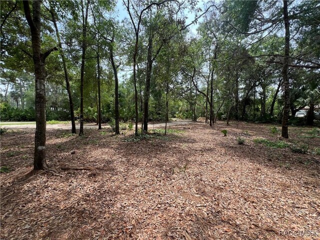 8181 W Tracy Pt, Homosassa, FL 34448 - photo 10