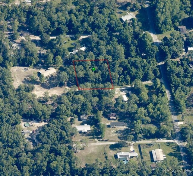 8181 W Tracy Pt, Homosassa, FL 34448 - photo 12