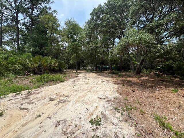 8181 W Tracy Pt, Homosassa, FL 34448 - photo 4