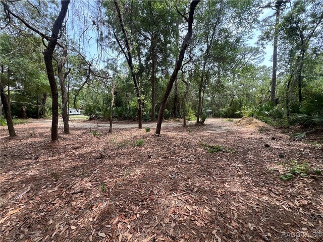 8181 W Tracy Pt, Homosassa, FL 34448 - photo 9
