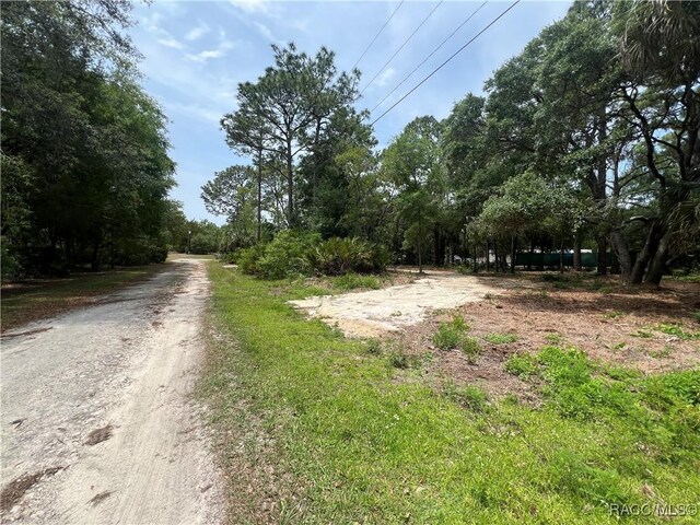8181 W Tracy Pt, Homosassa, FL 34448 - photo 3
