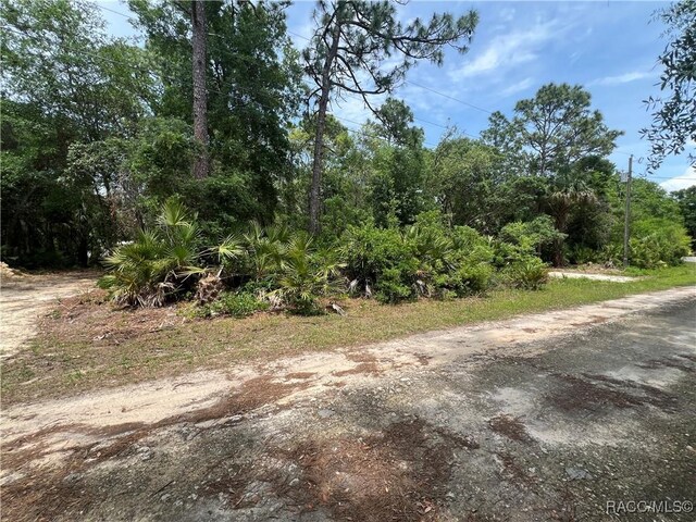 8181 W Tracy Pt, Homosassa, FL 34448 - photo 6
