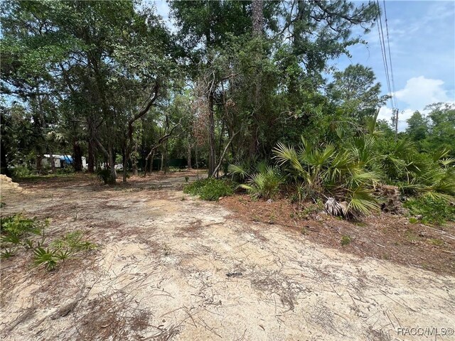 8181 W Tracy Pt, Homosassa, FL 34448 - photo 7