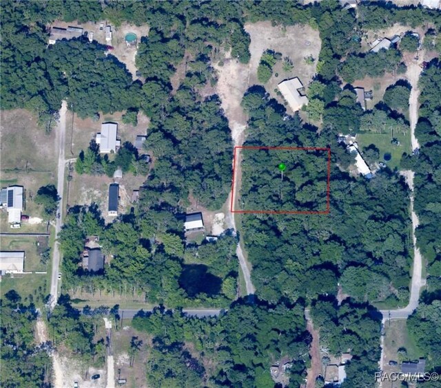 8181 W Tracy Pt, Homosassa, FL 34448 - photo 11