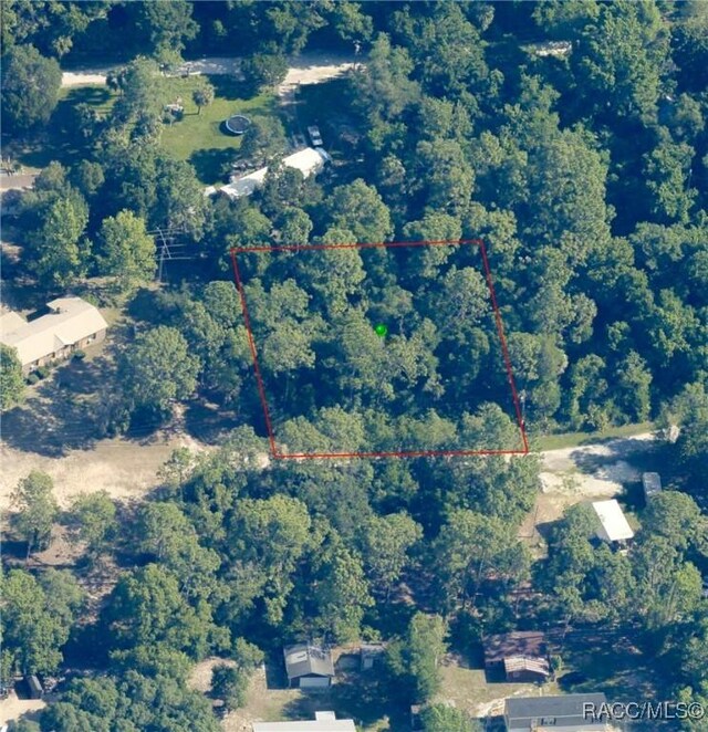 8181 W Tracy Pt, Homosassa, FL 34448 - photo 15