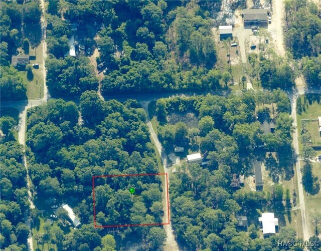 8181 W Tracy Pt, Homosassa, FL 34448 - photo 14