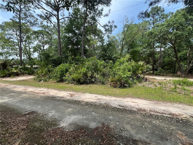 8181 W Tracy Pt, Homosassa, FL 34448 - photo 5