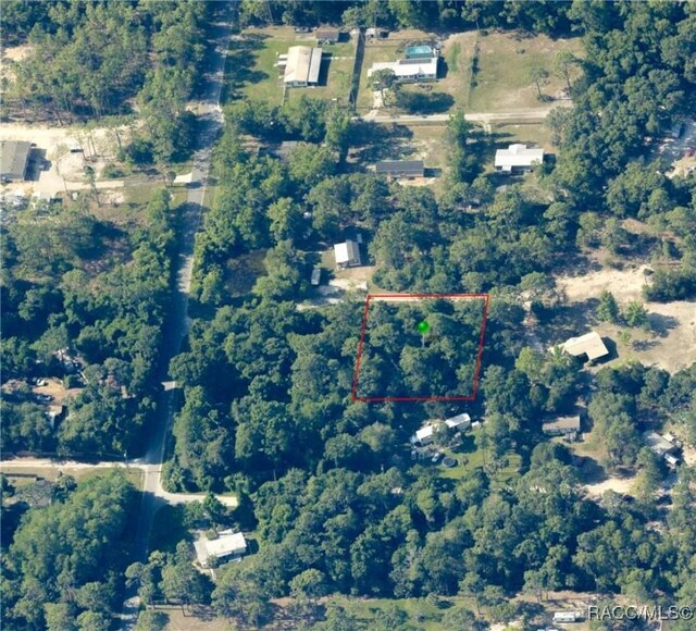 8181 W Tracy Pt, Homosassa, FL 34448 - photo 13