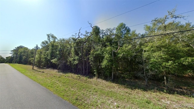1222 E Ln Salle St, Hernando, FL 34442 - photo 2