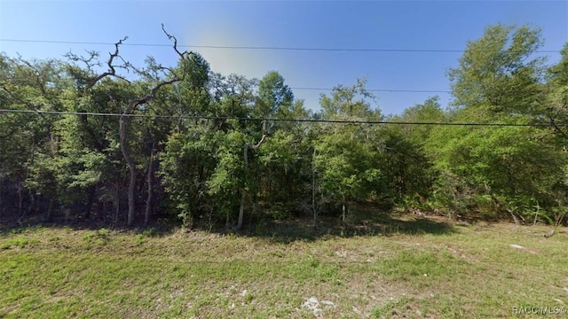 1222 E Ln Salle St, Hernando, FL 34442 - photo 1