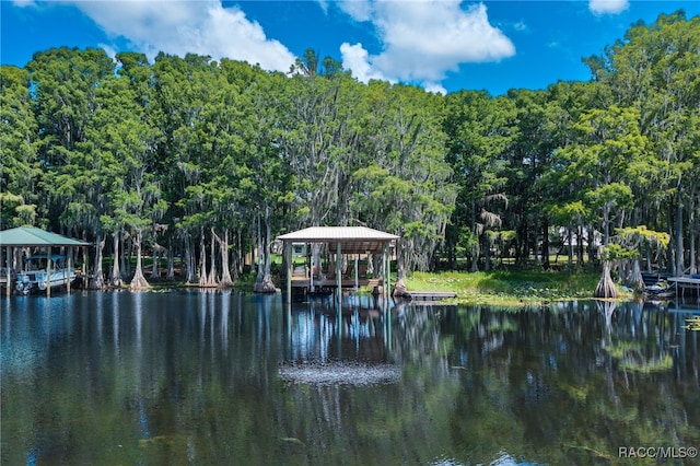 7180 E Gospel Island Rd, Inverness, FL 34450 - photo 24