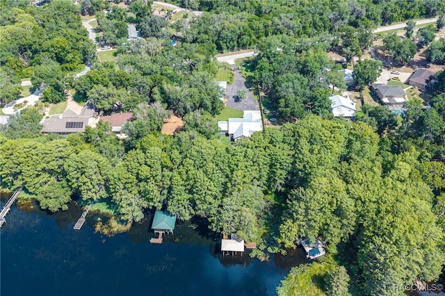7180 E Gospel Island Rd, Inverness, FL 34450 - photo 17