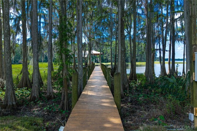 7180 E Gospel Island Rd, Inverness, FL 34450 - photo 22