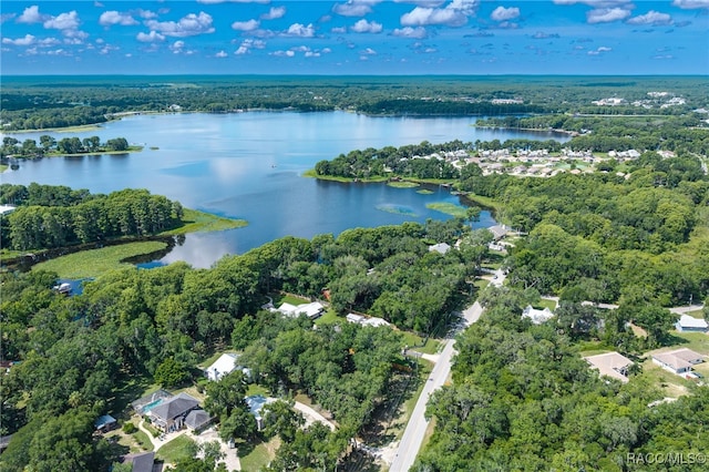 7180 E Gospel Island Rd, Inverness, FL 34450 - photo 15