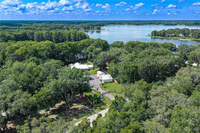 7180 E Gospel Island Rd, Inverness, FL 34450 - photo 12