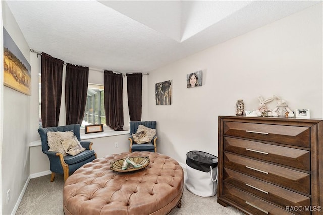 living area with a textured ceiling and light colored carpet