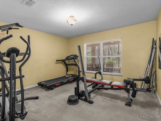 1684 W Lorraine Dr, Citrus Springs, FL 34434 - photo 8