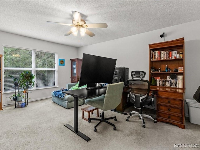 1684 W Lorraine Dr, Citrus Springs, FL 34434 - photo 23