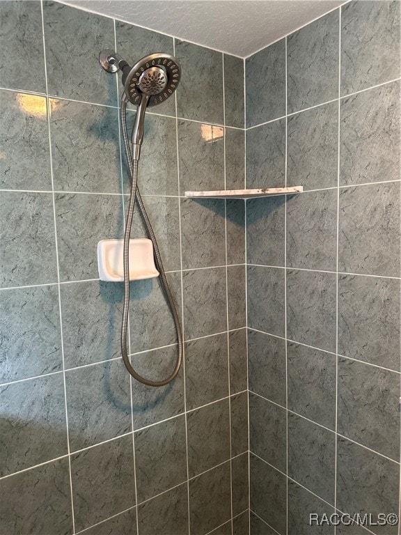 interior details featuring tiled shower