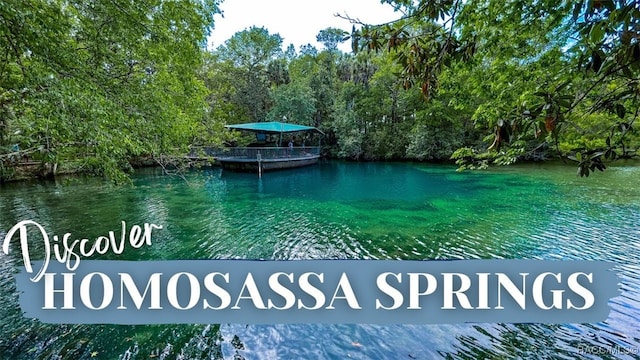 3191 S Canadian Way, Homosassa, FL 34448 - photo 5