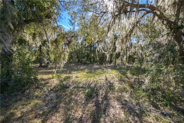 9930 W Pomegranate St, Crystal River FL, 34428 land for sale