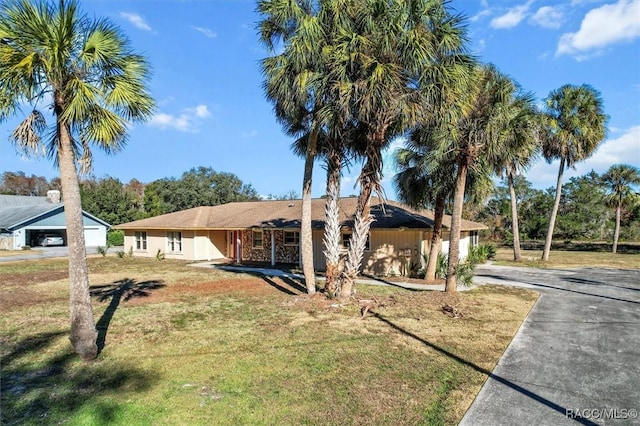 ranch-style house featuring a front lawn