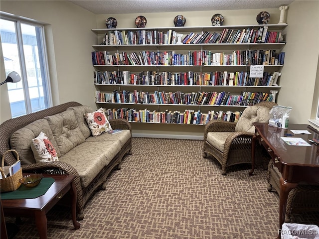 living area with carpet, baseboards, and a textured ceiling