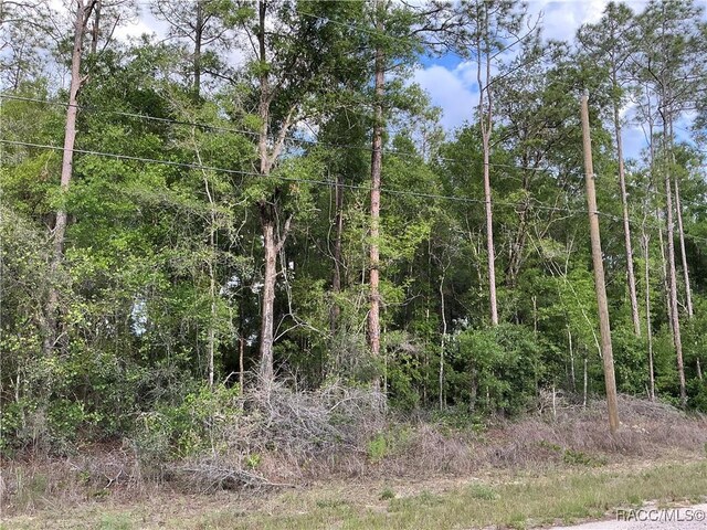 8479 N Wallingford Ave, Citrus Springs, FL 34434 - photo 3