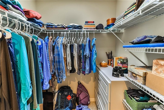 view of spacious closet