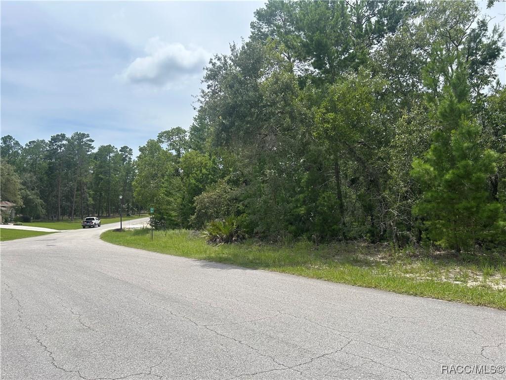 1 Cosmos Ct E, Homosassa, FL 34446 - photo 2