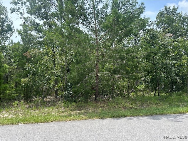 1 Cosmos Ct E, Homosassa, FL 34446 - photo 1