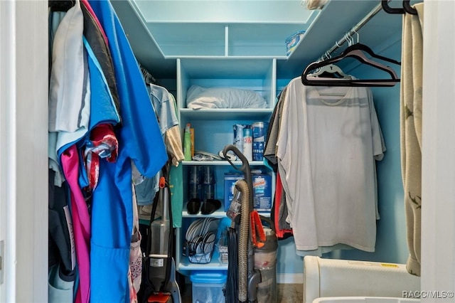 view of spacious closet