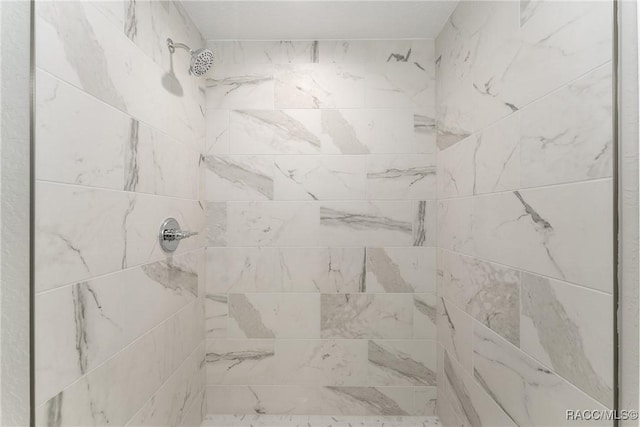 9065 N Arcadia Way, Citrus Springs, FL 34434 - details with tiled shower