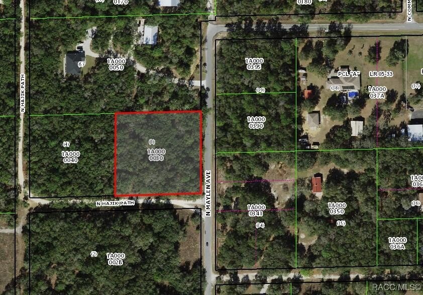 1379 N Hajik Path, Lecanto, FL 34461 - photo 2
