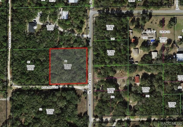 1379 N Hajik Path, Lecanto, FL 34461 - photo 2