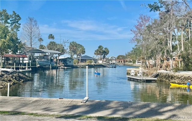 view of water feature with a dock