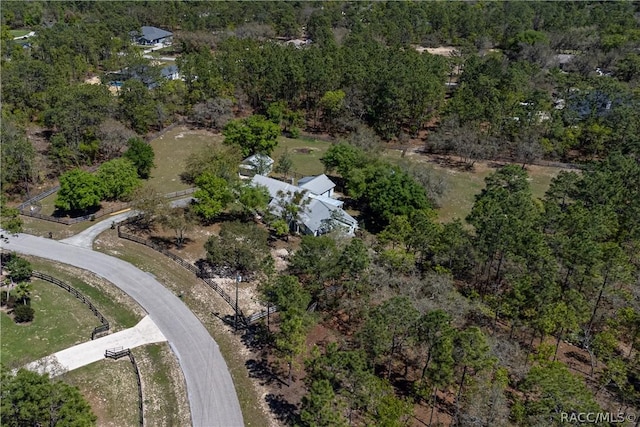 4210 W Horseshoe Dr, Beverly Hills, FL 34465 - aerial view of property's location