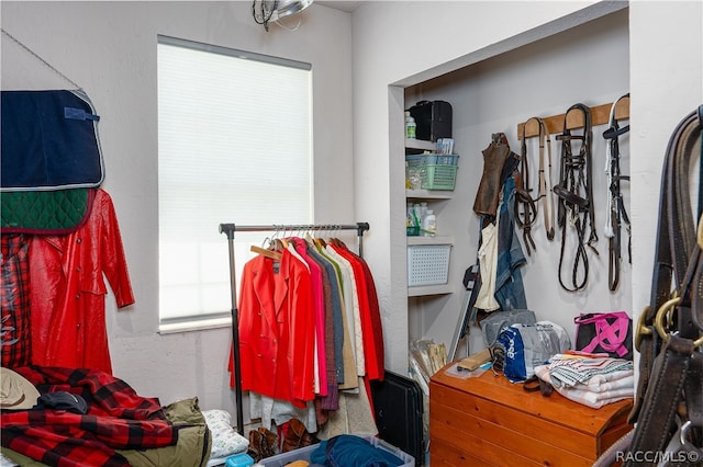 view of walk in closet