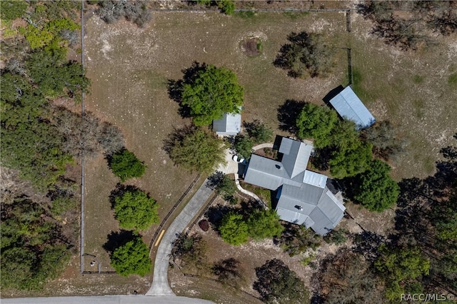 4210 W Horseshoe Dr, Beverly Hills, FL 34465 - aerial view of property's location