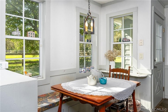 4210 W Horseshoe Dr, Beverly Hills, FL 34465 - dining area with plenty of natural light